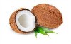 150822-foodcare01.jpg 150822-foodcare01.jpg