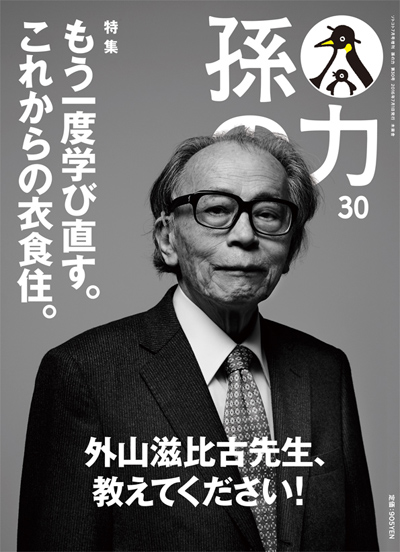 孫の力29号 孫の力29号